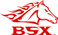 BSX