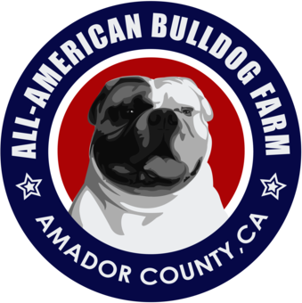 All American Bulldog Farm