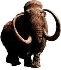Mammoth With Giant Tusks