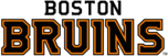 Boston Bruins