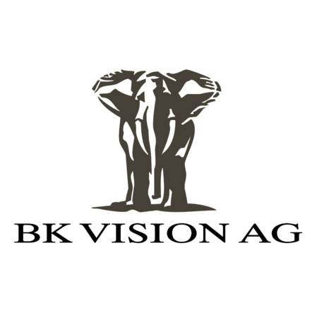 BK Vision