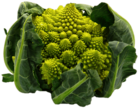 Romanesco Broccoli