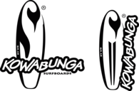 Kowabunga surfboards