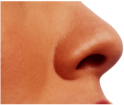 Small Female Nose