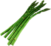 Bunch Of Asparagus