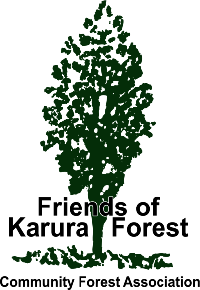 Friends of Karura Forest
