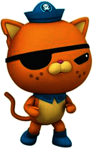 Kwazii Cat Ready For Action