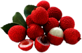 Fresh Lychee Fruit