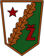 Zhalgiris Vilnus (logo of 80's)