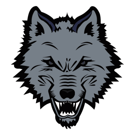 New England Sea Wolves
