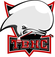 TBHC Toulouse Blagnac 