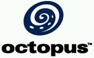 Criative Octopus