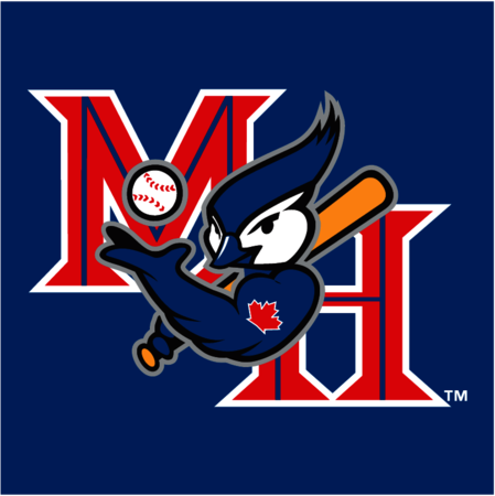 Medicine Hat Blue Jays