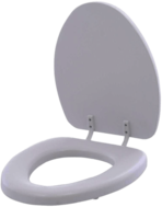 Open White Toilet Seat