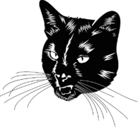 Black Cat Head With Whiskers