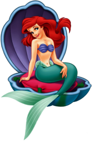 Little Mermaid In Shell