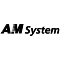 Am System
