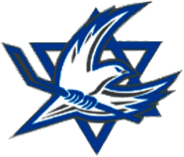 Israel National Ice Hockey Team 