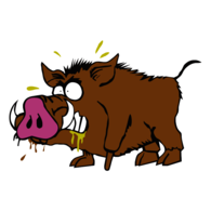 Wild Pig