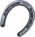 Horseshoe