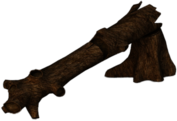 Fallen Tree Trunk