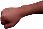 Clenched Fist and Forearm