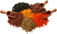 Different Kinds Of Lentils