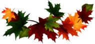 Maple Leaf Garland