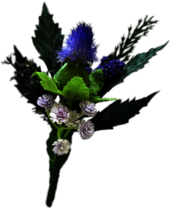 Thistle Boutonniere