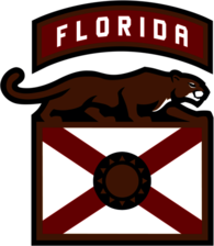 Florida Panthers Right Shoulder Patch