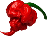 Carolina Reaper Hottest Pepper In The World