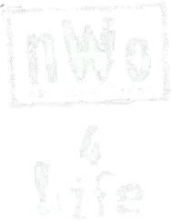 nWo logo white