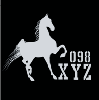 XYZ 098