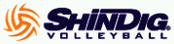 Dig it Volleyball