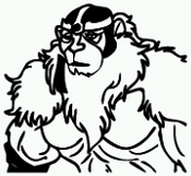 thundercats titulo original