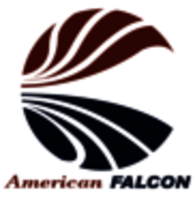 American Falcon
