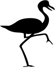 Bird Silhouette Flamingo