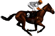 Race Horse Side View