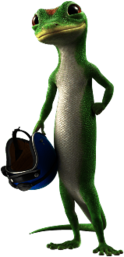Geico Gecko Holding Helmet