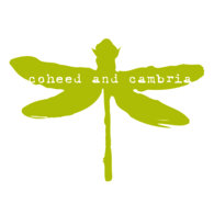 Coheed and Cambria