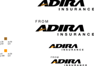 Adira Insurance
