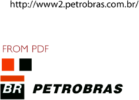 BR petrobras