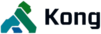 Kong Inc. 