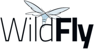 WildFly full 