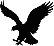 American Eagle Outfitters Bird