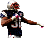Brandon Meriweather New England Patriots