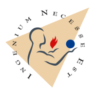 Ingenium Necesse Est