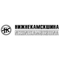 Nizhnekamskshina