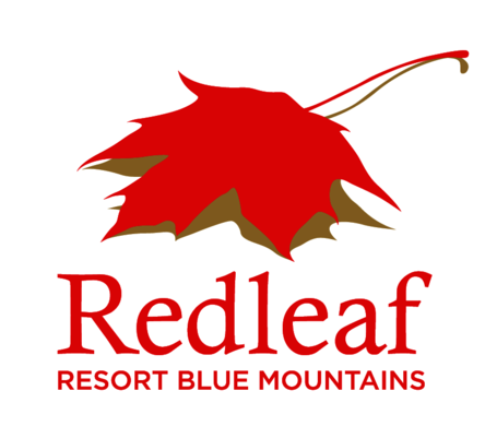 Comfort Inn Redleaf Resort