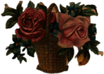 Basket Of Roses Illustration